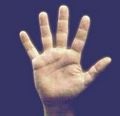 Hand med fem fingrer